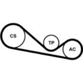 ContiTech 4PK1237K1 Keilrippenriemensatz für AUDI SKODA VW A6 C5 A4 B5 A8 D2 C5