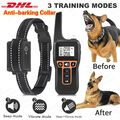 1000M Elektroschock Pet Dog Training E-Halsband Anti-Bark Obedience Stromschlag