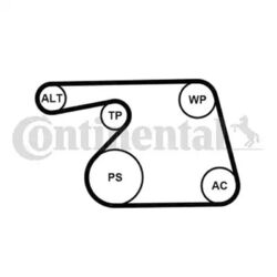 ORIGINAL® Continental Ctam Keilrippenriemensatz passend für Opel: AGILA COMBO