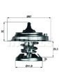 Thermostat TX 29 75D MAHLE für MERCEDES-BENZ PUCH MULTICAR