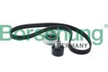 Zahnriemensatz Borsehung B10210 für VW GOLF 7 5G1 BQ1 BE1 BE2 Variant BA5 BV5 5