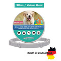 Anti Insekten Floh Zeckenhalsband 8 Mo. Schutz Haustier Katzen Hund 38cm grau