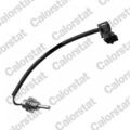 CALORSTAT by Vernet Sensor, Kühlmitteltemperatur WS3054 für SAAB