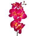 Kunstblume, ORCHIDEENZWEIG, künstliche Orchideenblüte, Orchidee 78cm CERISE