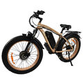 26 Zoll Elektrofahrrad 2000W Doppelmotor 48V 20Ah Fat Tire Fahrrad Mountainbike 