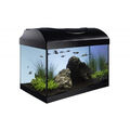 Diversa StartUp Set 50 LED 37,5 Liter rechteck Aquarium 50x25x30cm Glasaquarium