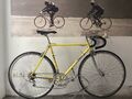 Masi 3V Volumetrica, Rennrad Campagnolo C-Record, Chorus, RH 53