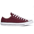 Schuhe Converse  Chuck Taylor All Star Ox  M9691C - 9MW