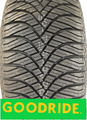 Ganzjahresreifen Goodride All Season Elite Z-401 205/55 R16 91V 3PMSF (C/C/72)