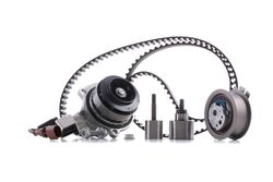 INA 530 0650 30 Wasserpumpe + Zahnriemensatz für VW TIGUAN (5N) Touran (5T1)