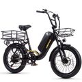 20 Zoll E-Bike 750W Elektrofahrrad 25km/h E-City bike 48V 15AH Trekking eBike