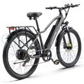 Elektrofahrrad 48V 20AH E Mountainbike 25km/h Damen/Herren Leichtes E-Bike MTB