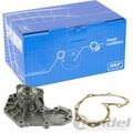 SKF WASSERPUMPE passend für OPEL MOVANO RENAULT CLIO KANGOO LAGUNA MEGANE SCENIC