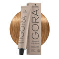 Schwarzkopf Igora Royal Absolutes 8-50 Natürliches Hellgoldenes Blond 60ml