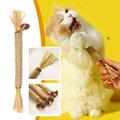 6x Katzenminze-Sticks Silvervine Kausticks für die Zahnpflege bei Katzen