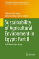 Sustainability of Agricultural Environment in Egypt: Part II: Soil-Water-Plant N