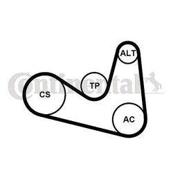 CONTINENTAL CTAM 6PK1180K2 Keilrippenriemensatz für SEAT SKODA VW