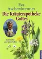 Die Kräuterapotheke Gottes: Sammeln und anwenden von Asc... | Buch | Zustand gut