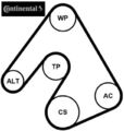 Continental CTAM 6PK2490WP1 Wasserpumpe + Keilrippenriemensatz für Audi 