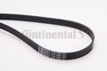 Keilrippenriemen Continental Ctam für Audi A4 B7 8EC 2.5 04-06 6Pk2404