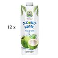 Double Panda - Karton Kokoswasser Kokosnusswasser Coconut Water 12x1 Liter