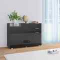 Sideboard Kommode Highboard Anrichte Schrank Beistellschrank Wohnzimmer vidaXL