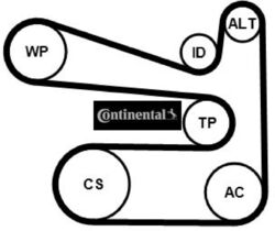 Continental CTAM 6PK1693K1 Keilrippenriemensatz Keilriemen Satz 