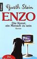 Enzo oder Die Kunst, ein Mensch zu sein: Roman von Stein... | Buch | Zustand gut