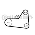 CONTINENTAL CTAM (6PK1070K1) Keilrippenriemensatz für AUDI SEAT SKODA VW