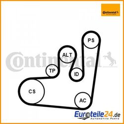 Keilrippenriemensatz CONTINENTAL CTAM 6PK1145K1 für VW Vento