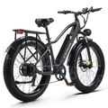 26 Zoll E Mountainbike 1000W Elektrofahrrad 48V 20AH Moped ebike 45km/h eBike