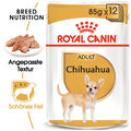 12 x 85g ROYAL CANIN Chihuahua Adult Hundefutter Nasfutter