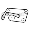 Keilrippenriemensatz Continental CTAM 6PK2260K2 für MERCEDES BENZ