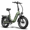 20 Zoll E Mountainbike Elektrofahrrad 500W 20AH E-Bike Shimano Fat Bike e-MTB