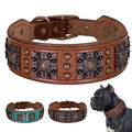 Hundehalsband Echtleder mit Ziernieten 5cm Breit Lederhalsband Verstellbar Boxer