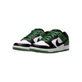 nike sb dunk pro low 