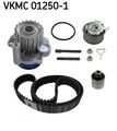 Wasserpumpe + Zahnriemensatz SKF VKMC 01250-1 für AUDI VW A3 SEAT A4 SKODA A6 B7