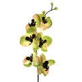 Kunstblume, ORCHIDEENZWEIG, künstliche Orchideenblüte, Orchidee 78cm GRÜN-ROSA