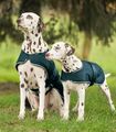 Regen Hundedecke Regenmantel Regenjacke Regendecke Waldhausen tannengrün 35-70cm