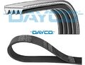 DAYCO 4PK850 Keilrippenriemen Keilriemen 