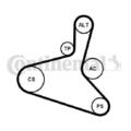 1x Continental Ctam Keilrippenriemensatz u.a. für Audi A3 8L S3 TT 8N | 433278