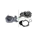 1x Wasserpumpe, Motorkühlung Schaeffler INA 538 0046 10 passend für RENAULT