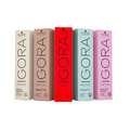 Schwarzkopf IGORA ROYAL 60 ml - Haarfarbe 60ml - alle Farbtöne
