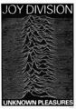 Joy Division: Unknown Pleasures (1979) | UK Import Poster 59 x 84 cm