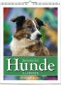 Vivendi Ars | Literarischer Hunde - Kalender 2025 | Kalender | Deutsch | 53 S.