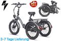 🔥20Zoll Faltbares E-Bike,3-Rad Elektrofahrrad Dreirad mit Korb Fafrees F20 Mate