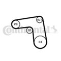 CONTINENTAL CTAM 7PK1076K1 Keilrippenriemensatz passend für FIAT