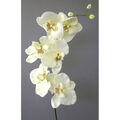 Kunstblume, ORCHIDEENZWEIG, künstliche Orchideenblüte, Orchidee 78cm CREME