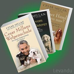 WELPENSCHULE + TIPPS VOM HUNDEFLÜSTERER + WELCHER HUND PASST? | CESAR MILLAN