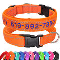 Hundehalsband Bestickt mit Name Telefonnummer Personalisiert Reflektierend Nylon